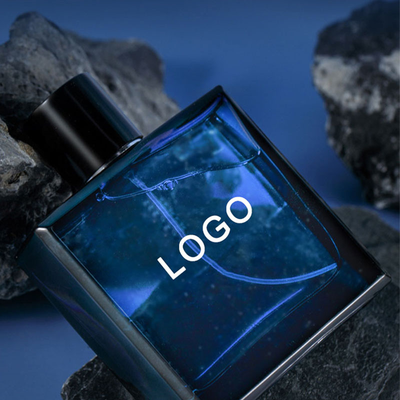 100 мл мужские духи Профессиональный производитель мужских духов